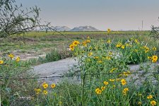 09-13-21-CR-_7505603-ON1.jpg