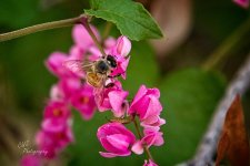 09-14-21-CR-_7505621-ON1.jpg