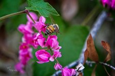 09-14-21-CR-_7505630-ON1.jpg