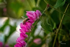 09-14-21-CR-_7505638-ON1.jpg