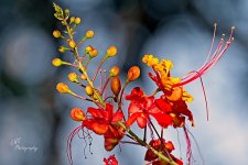 09-15-21-CR-_D502248-ON1.jpg