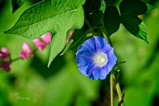 09-16-21-CR-_7505639-ON1.jpg