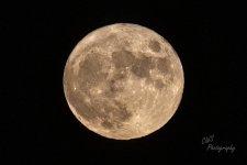 09-20-21-CR-_D502309-ON1.jpg