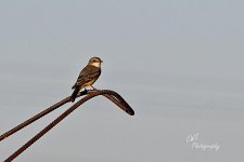 09-21-21-CR-_D502325-ON1.jpg