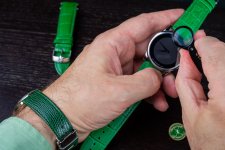Green 1-1.jpg