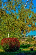 _7503407-HDR-Edit.jpg