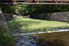 Spillway Cowens gap.JPG