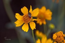 09-27-21-CR-_D502352-ON1 1.jpg
