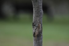 _5DX6084 low res.jpg