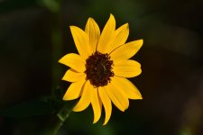 _ROY5880_01.jpg