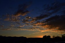 _ROY6071_01.jpg