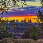 DSC_1816-Edit.jpg