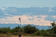 09-29-21-CR-_D502372-ON1.jpg