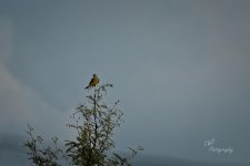 09-29-21-CR-_D502373-ON1.jpg