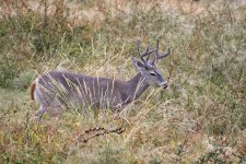 09-30-21-CR-_D502394-ON1.jpg