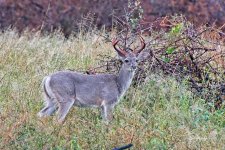 09-30-21-CR-_D502395-ON1.jpg