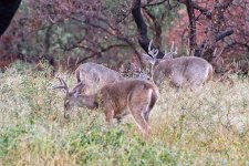 09-30-21-CR-_D502400-ON1.jpg