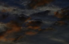 _ROY7214_01.jpg