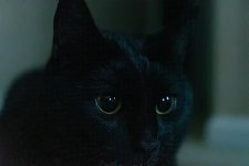 Denoise Test Dell OOC-1 edit.jpg