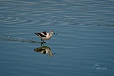 10-03-21-CR-_D502429-ON1.jpg