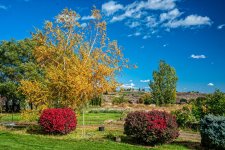 _7503833-HDR-Edit.jpg