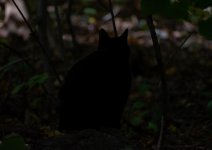 Dell on Rock-1.jpg