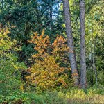 _7503865-Edit.jpg