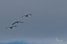 10-07-21-CR-_D502456-ON1 1.jpg