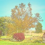 710_5928-Edit.jpg