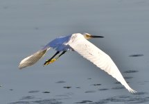 _ROY8107.jpg