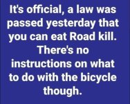 roadkill.jpeg