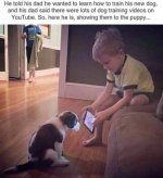 Dogtraining.jpg