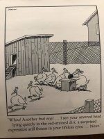 Turkey reading.jpg