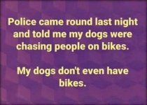 dogs-on-bikes-meme.jpg