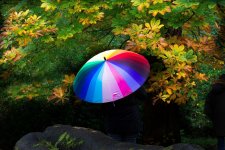 Colours1.jpg