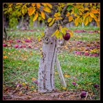 710_6223-Edit.jpg
