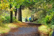 Autumn Walk.jpg
