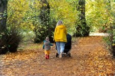Autumn Colours.jpg