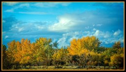 710_6296-Edit.jpg