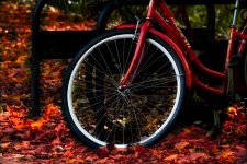 Bike1.jpg