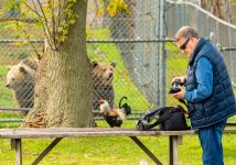 Peter and Bears.jpg