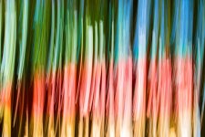 Abstract2.jpg
