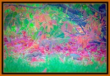 _DSC2146-Edit.jpg
