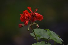 2021-10-25 12.27.27-sharpen-s.jpg