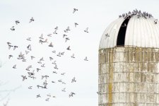 Feeding Time! 7.jpg