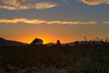 10-22-21-CR-_D502572-20211022-174130-ON1.jpg