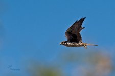10-25-21-CR-_D502597_2021-10-25_11-55  -ON1.jpg