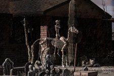 10-25-21-CR-_D502605_2021-10-25_13-40  -ON1.jpg