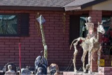 10-25-21-CR-_D502601_2021-10-25_13-36  -ON1.jpg