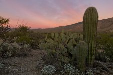 10-27-21-CR-_7505793_2021-10-27_17-44  -ON1.jpg